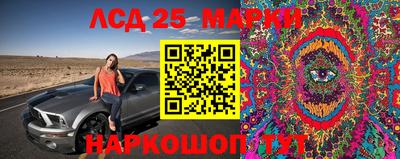 мдпв Тара