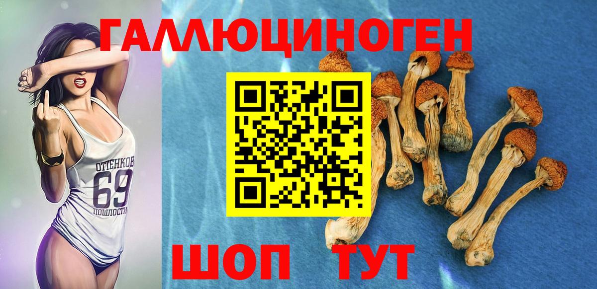 Галлюциногенные грибы ЛСД  Вход с VPN  Нижнекамск 
